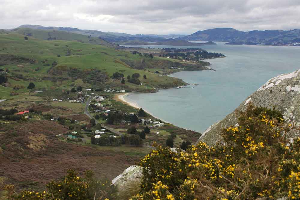 193 - Nueva Zelanda - Dunedin, peninsula de Otago, panoramica
